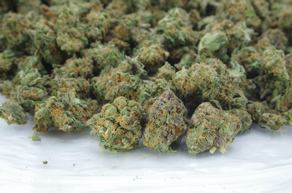 Blue Haze Smalls (Oz Special) | Canada Bliss Herbals