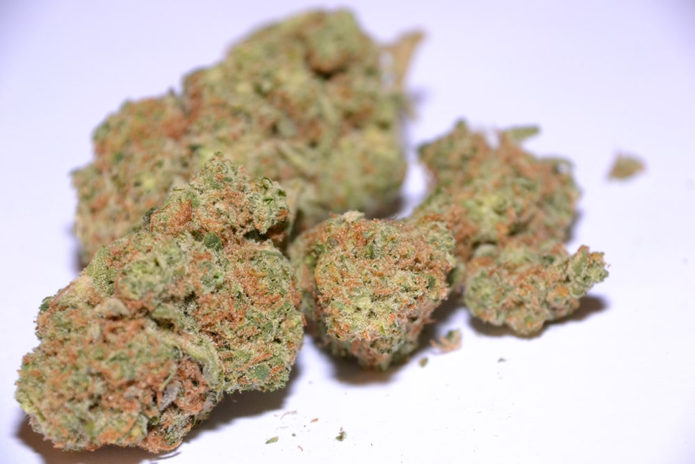 6 amazing medical benefits of cannabis sativa strains canada bliss