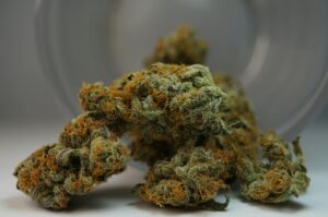 buds in a jar from amsterdam