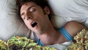 Learn how cannabis and sleep are connected, how it can reduce REM cycles, and explore the best strains for relaxation at Canada Bliss Herbals.