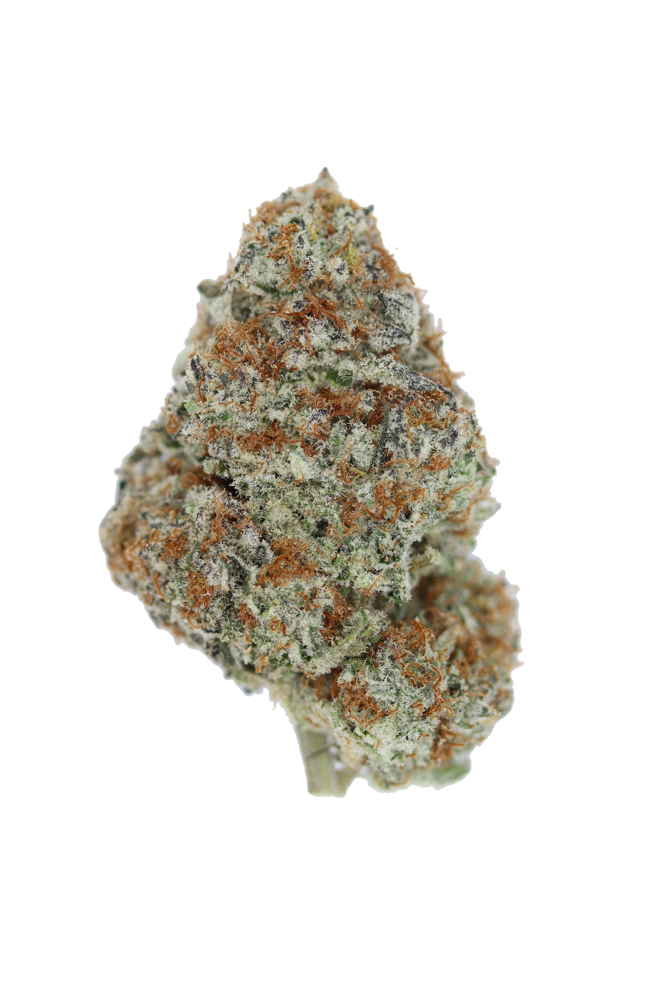 Buy Creme Brulee Online Canada Bliss Herbals