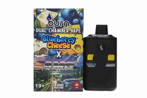 Buy 6 Gram Dual-Chamber BURN Disposable Vape Online