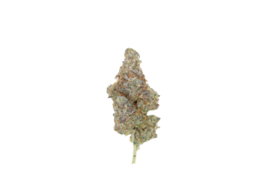 image2 1